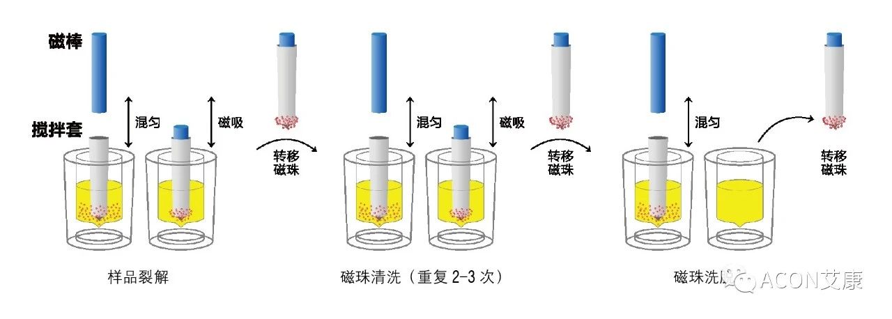 Promotor®核酸提纯仪， 让基因提纯更便捷。