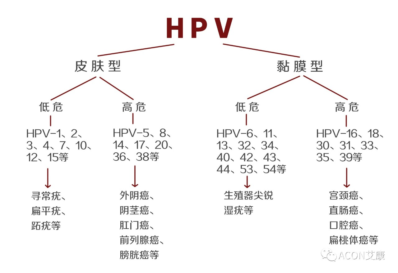 HPV疫苗有必要打吗？二价、四价、九价要如何选择！