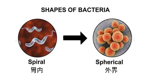 这种致癌物传染性极强，50%中国人都有！很多人还不知道