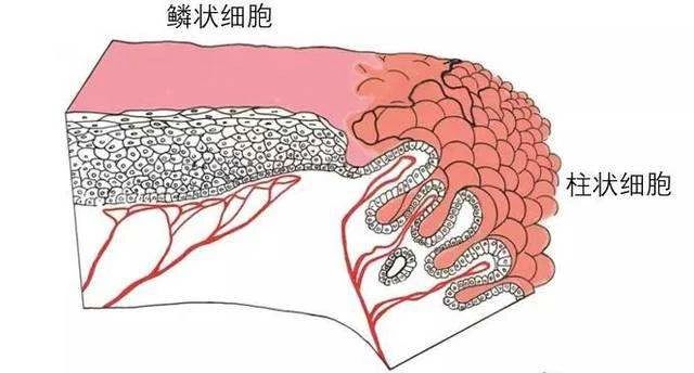 微信图片_20210106095846.jpg